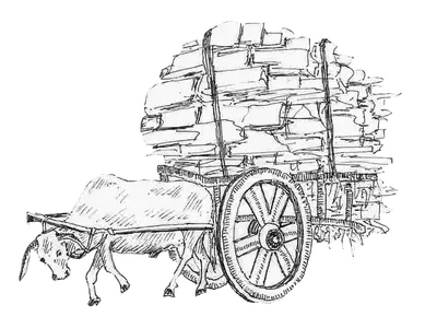 Lonely Ox transparent.png