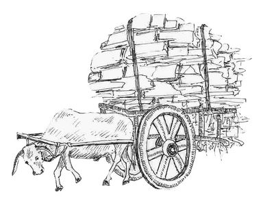 Lonely Ox transparent.png Lonely Ox transparent.png